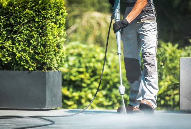 Best Dumpster Area Cleaning  in Wentworth, NC