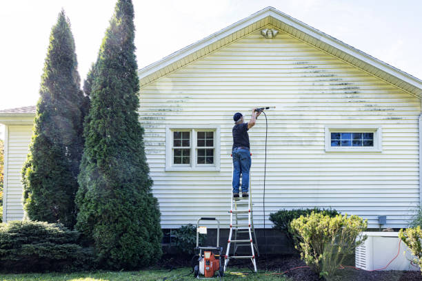 Best Driveway Pressure Washing  in Wentworth, NC